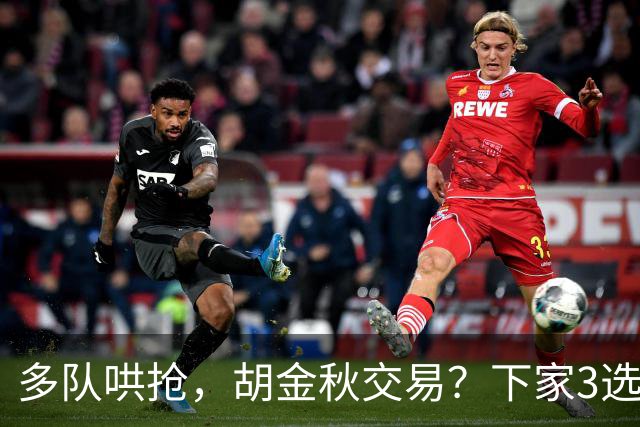 多队哄抢，胡金秋交易？下家3选1，上海热门，转会费或超张镇麟
